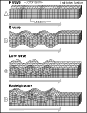 Types of Seismic Waves